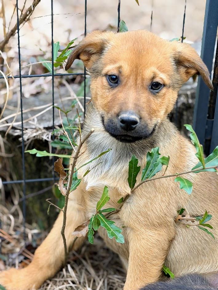 MAVERICK — thumbnail 4