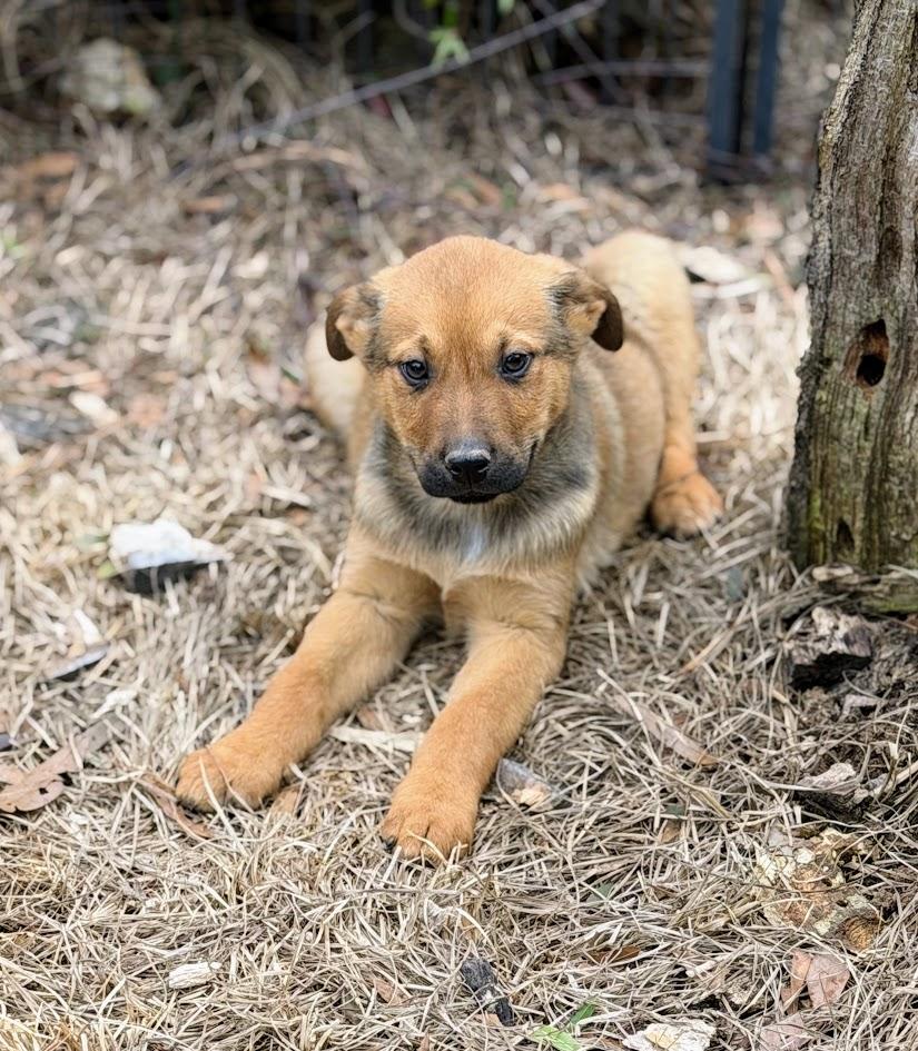 MAVERICK — thumbnail 5