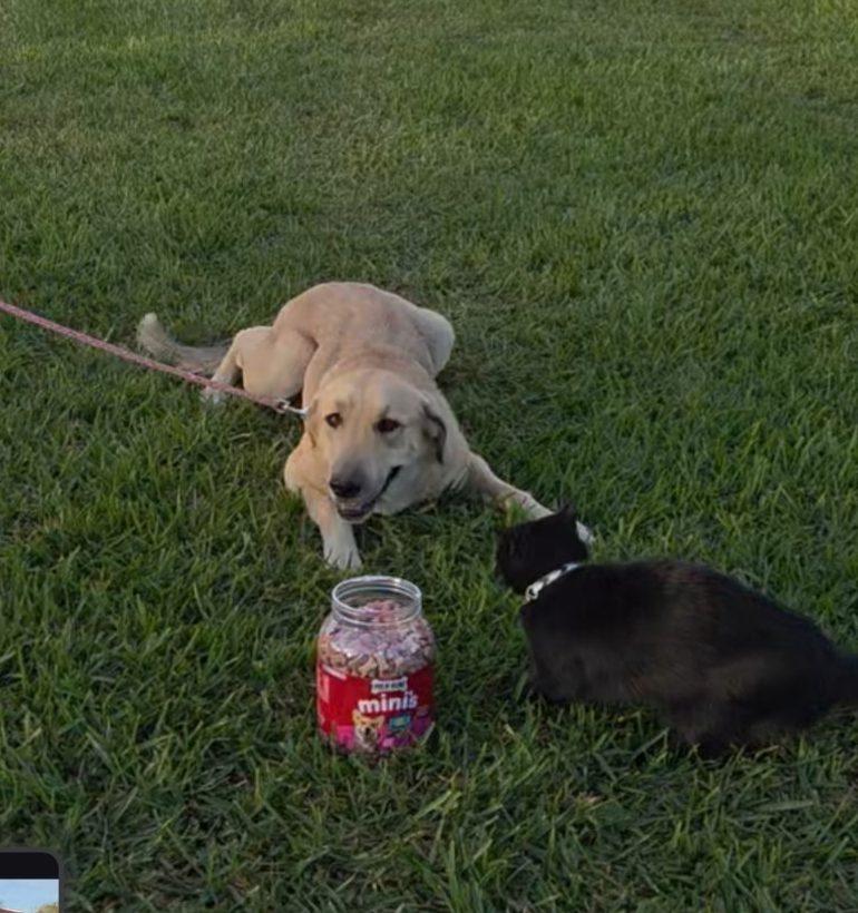 Sarah — thumbnail 3