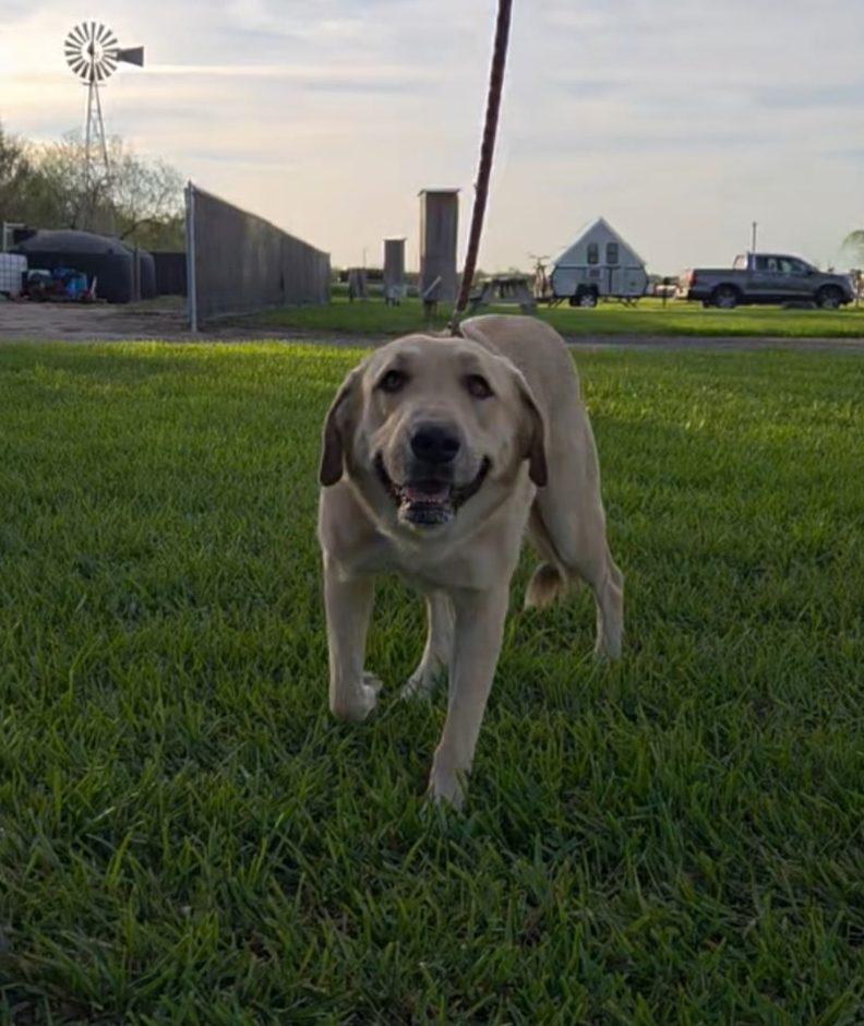 Sarah — thumbnail 4