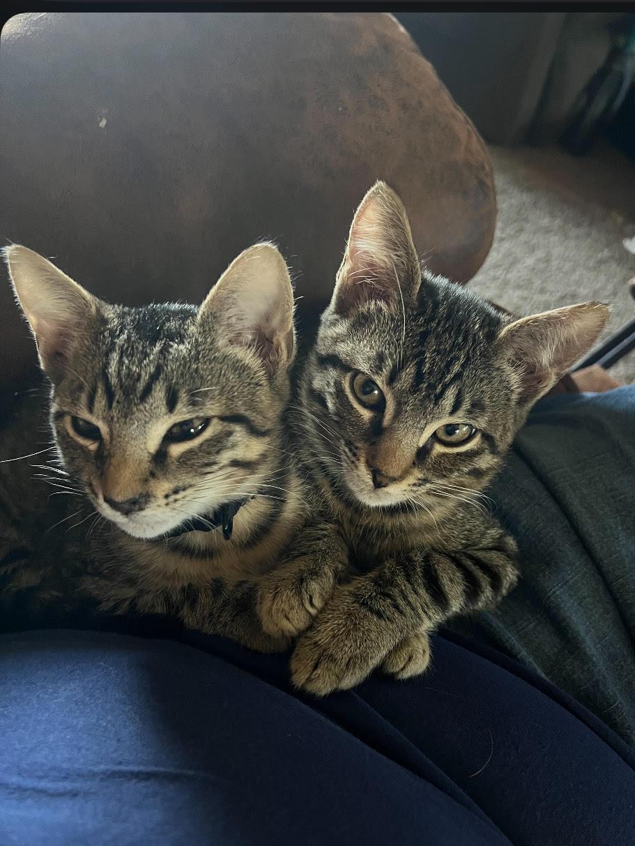 Mario Andor Luigi thumbnail 6