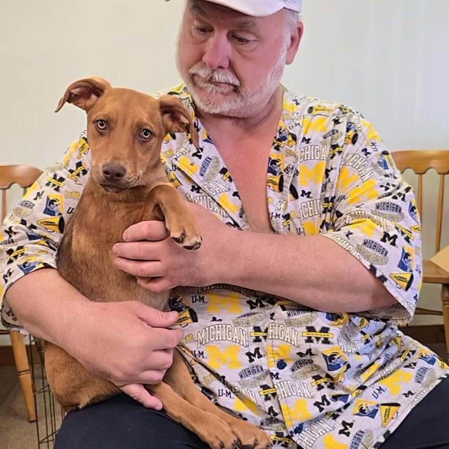 Red, a Adoptable mixed breed in LaGrange, IN image 6/6