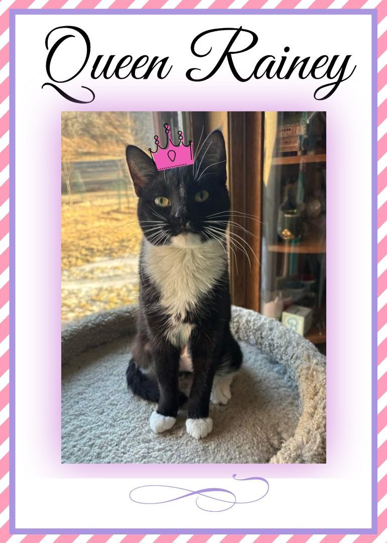 Queen Rainey 1