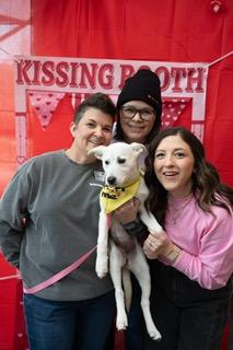 Snowy, a ADOPTABLE mixed breed in Manhasset, NY image 3/6