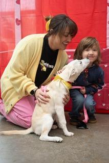 Snowy, a ADOPTABLE mixed breed in Manhasset, NY image 2/6