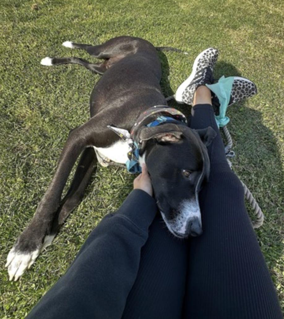 Blue — thumbnail 3