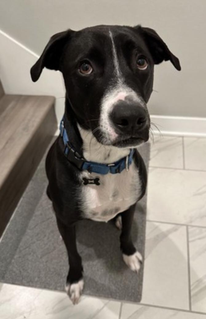 Blue — thumbnail 5