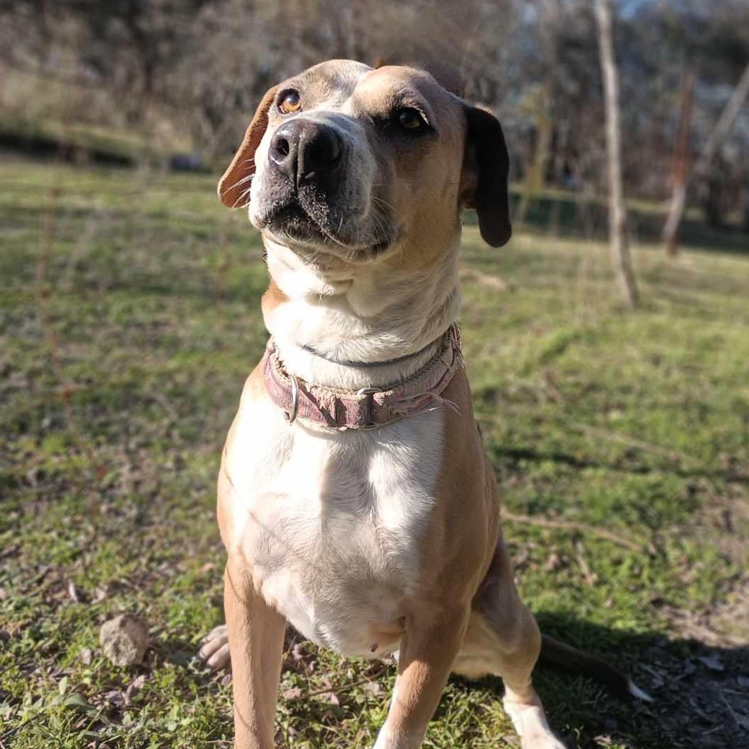 Dancer — thumbnail 4