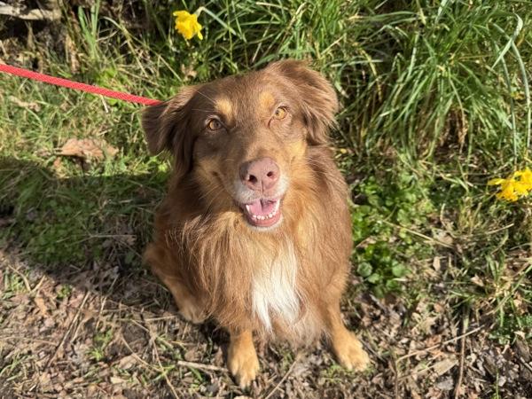 Theo — thumbnail 2