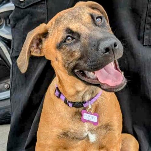 Sharae Jo (New Digs)