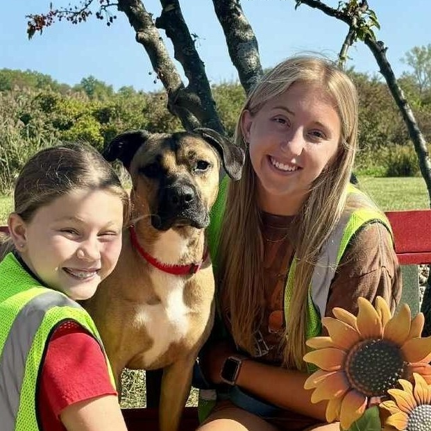 Enlarge Gemini , an adoptable mixed breed in Elyria, OH image 6/6