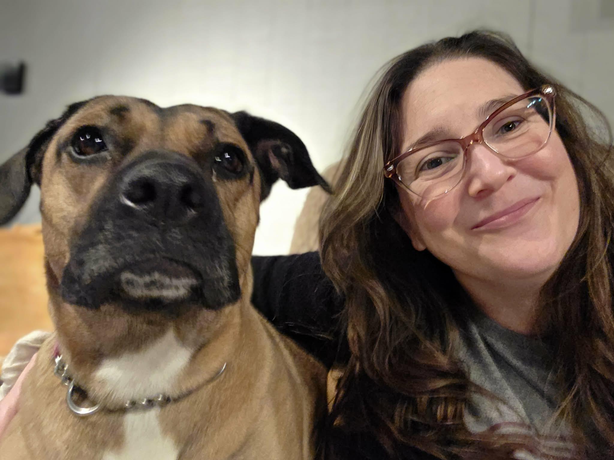 Enlarge Gemini Ask to Meet! In Foster!, a other mixed breed in Elyria, OH image 1/6