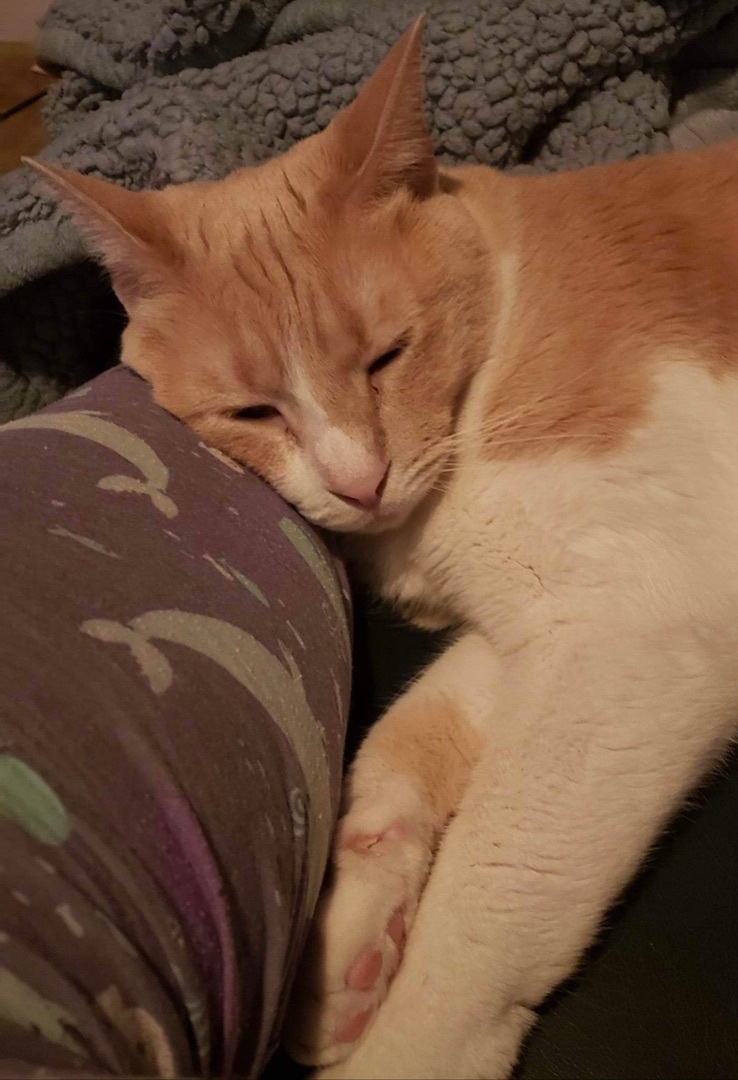 Arya Stark — thumbnail 4