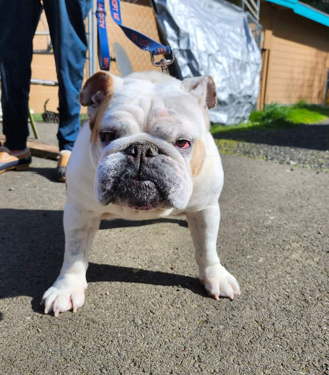 Bella