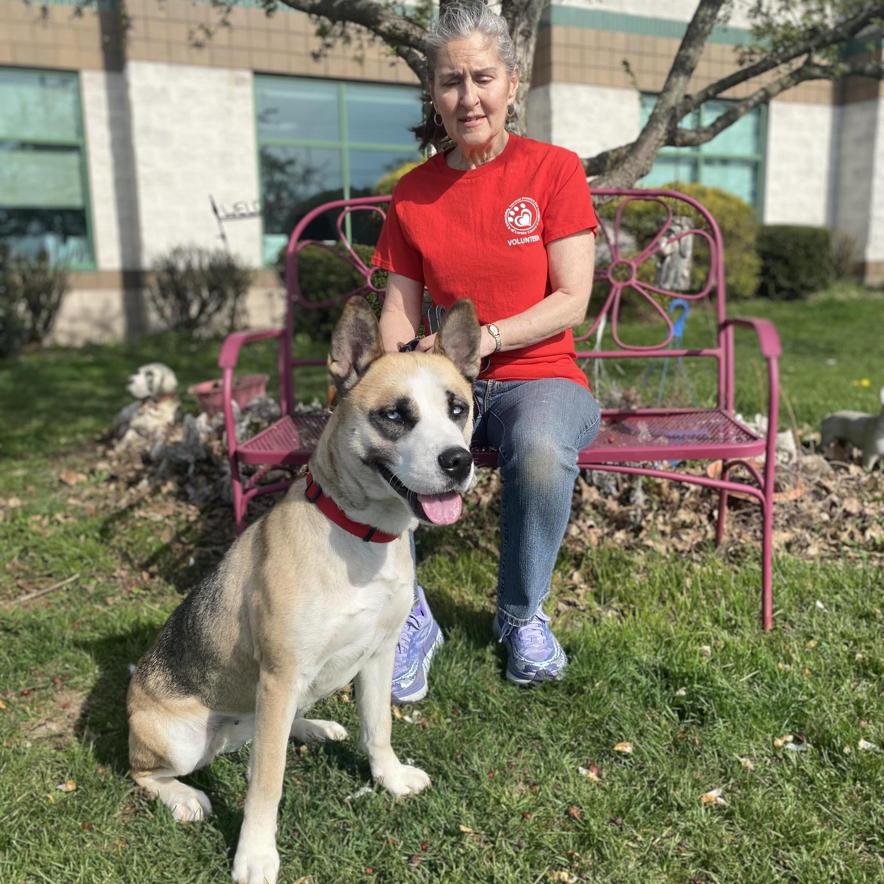 Swift GCI Trained Graduate!!