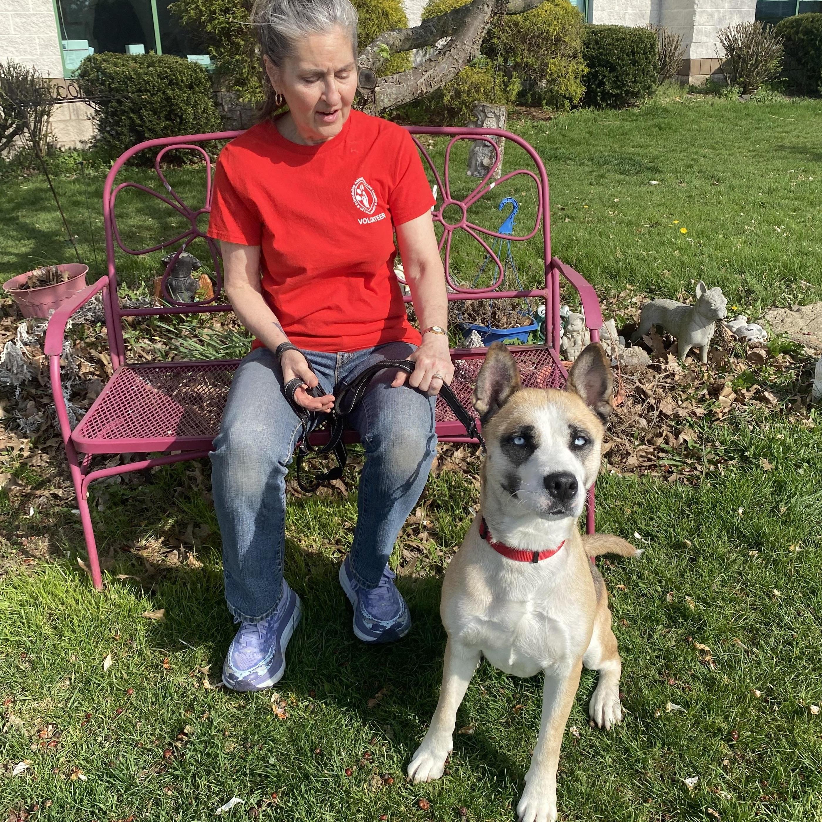 Swift GCI Trained Graduate!!