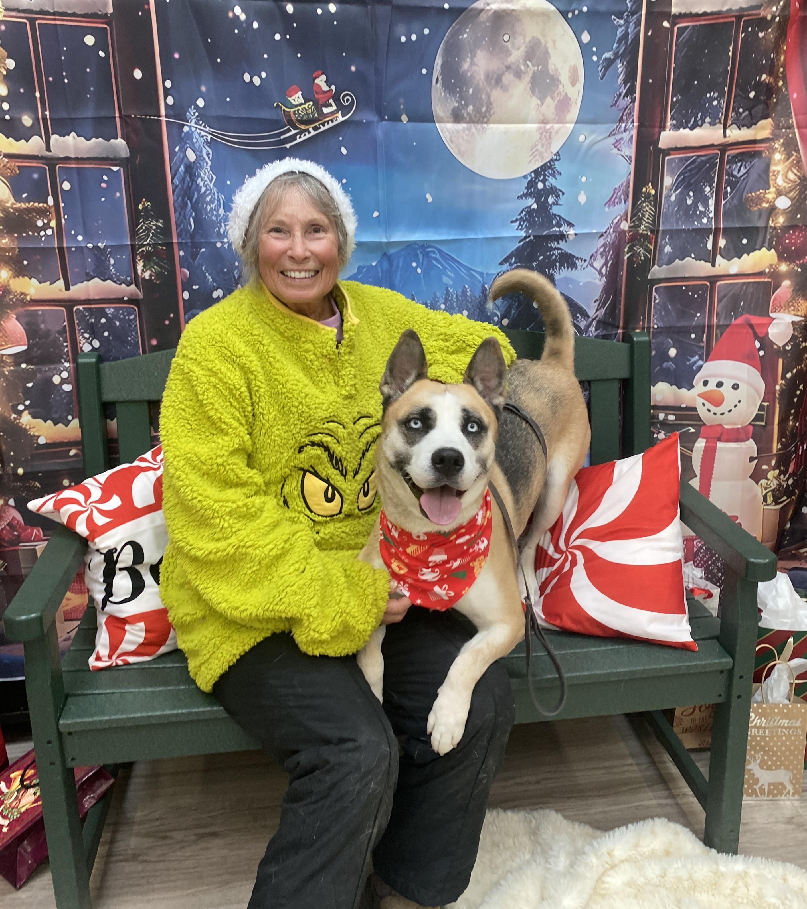 Enlarge Clover GCI Trained Graduate!!, an adopted mixed breed in Elyria, OH image 2/3