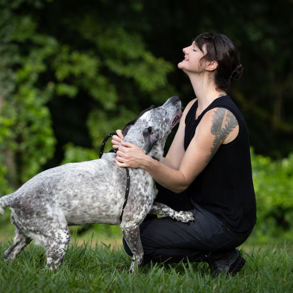 Waverly, a Adoptable mixed breed in Rossville, GA image 4/6