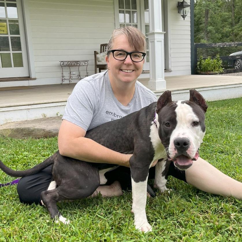 Enlarge Woodrow, a Adoptable Mixed Breed in Bangall, NY image 3/5
