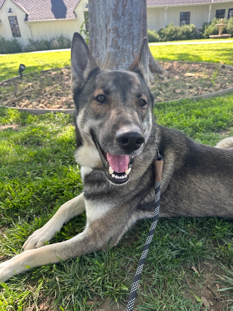 PACO