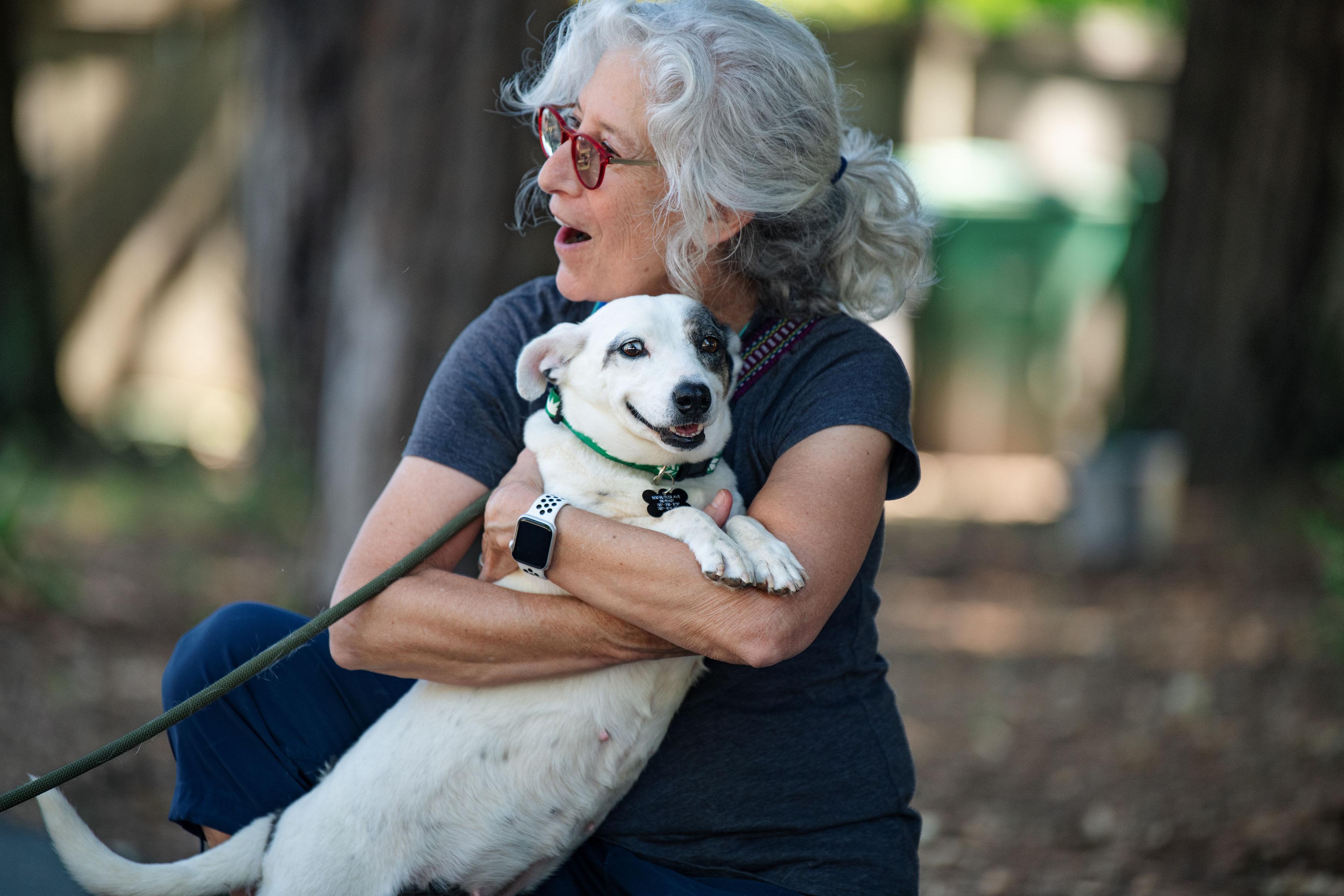 Luna, an adopted mixed breed in Santa Rosa, CA image 3/4