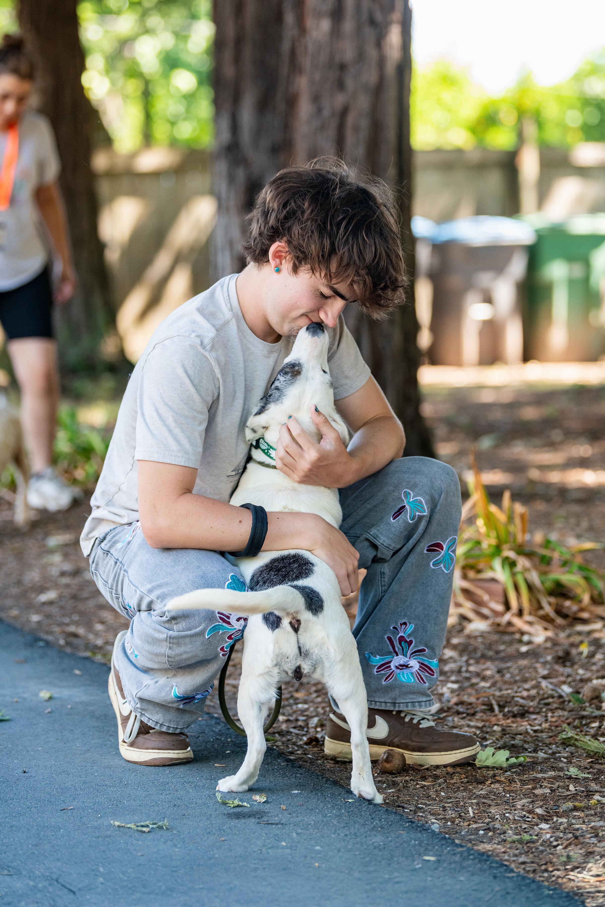Luna, an adopted mixed breed in Santa Rosa, CA image 2/4