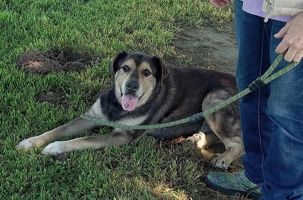 Chance — thumbnail 2