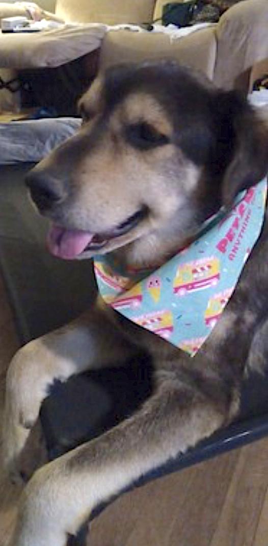 Chance — thumbnail 5