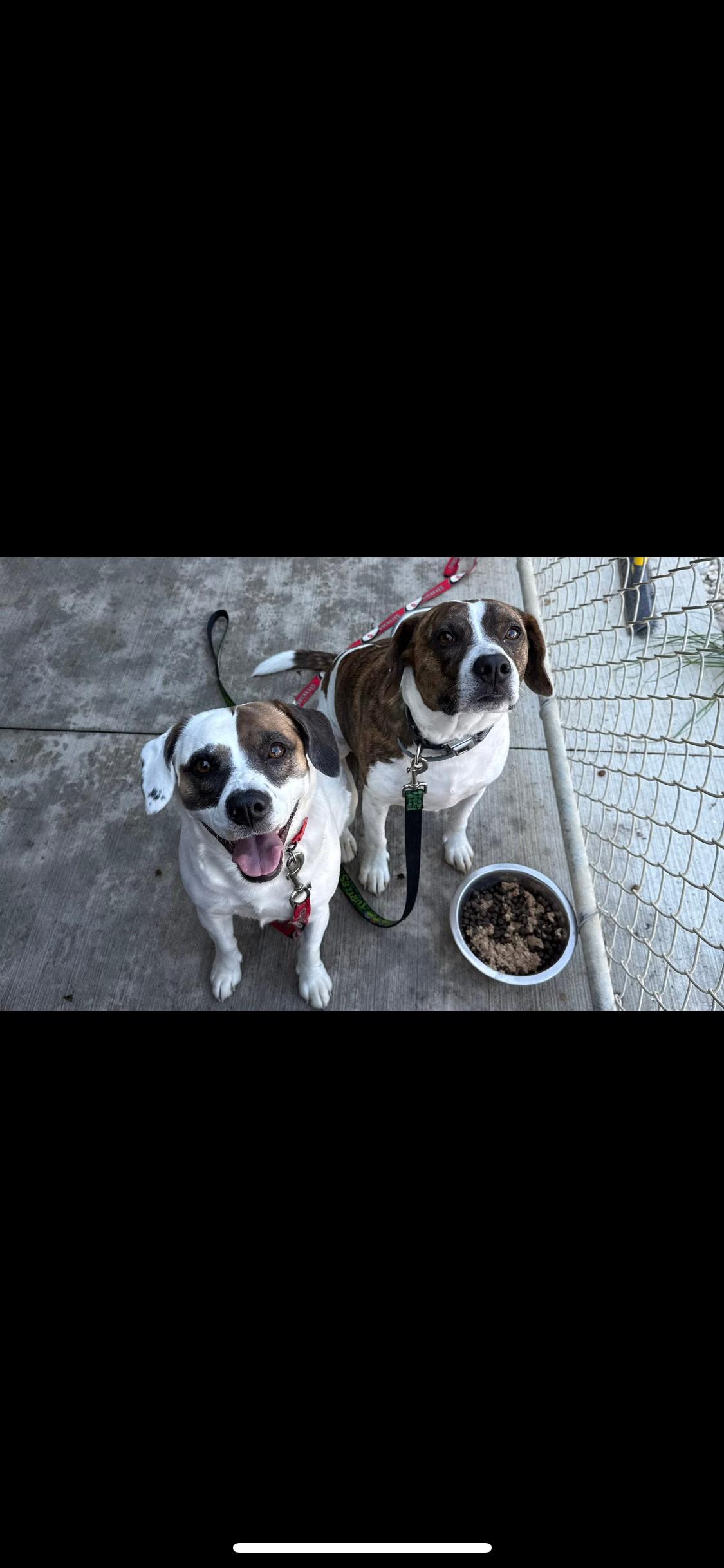 Chunk *(bonded)