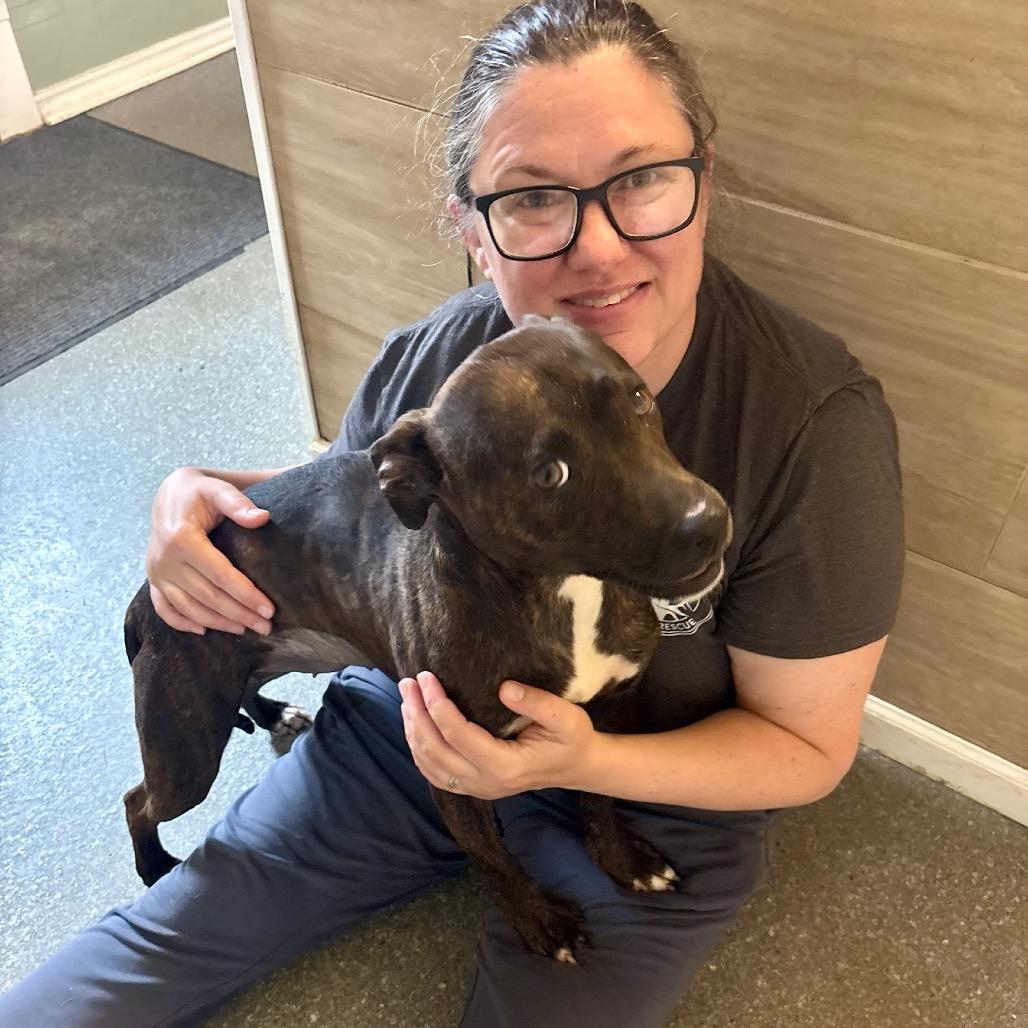 Enlarge Ruby, a Adoptable mixed breed in Metamora, MI image 2/6