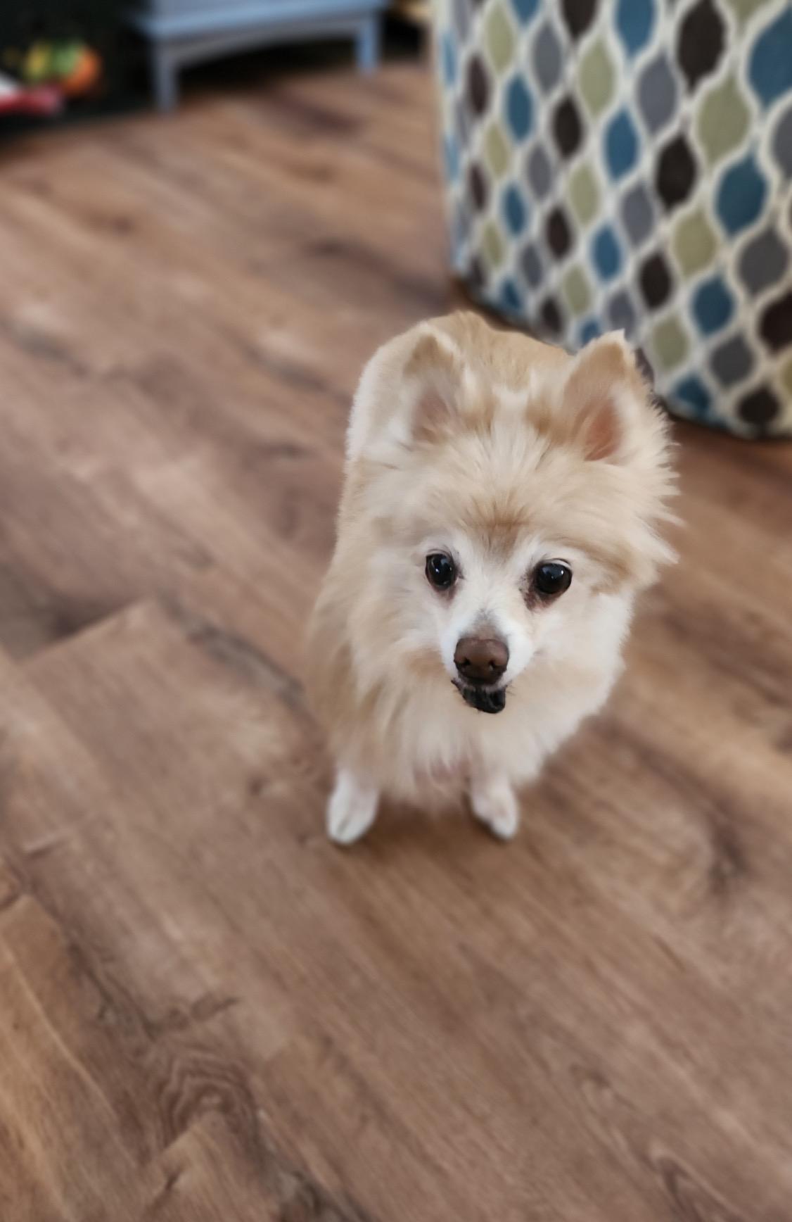 Estelle — thumbnail 5