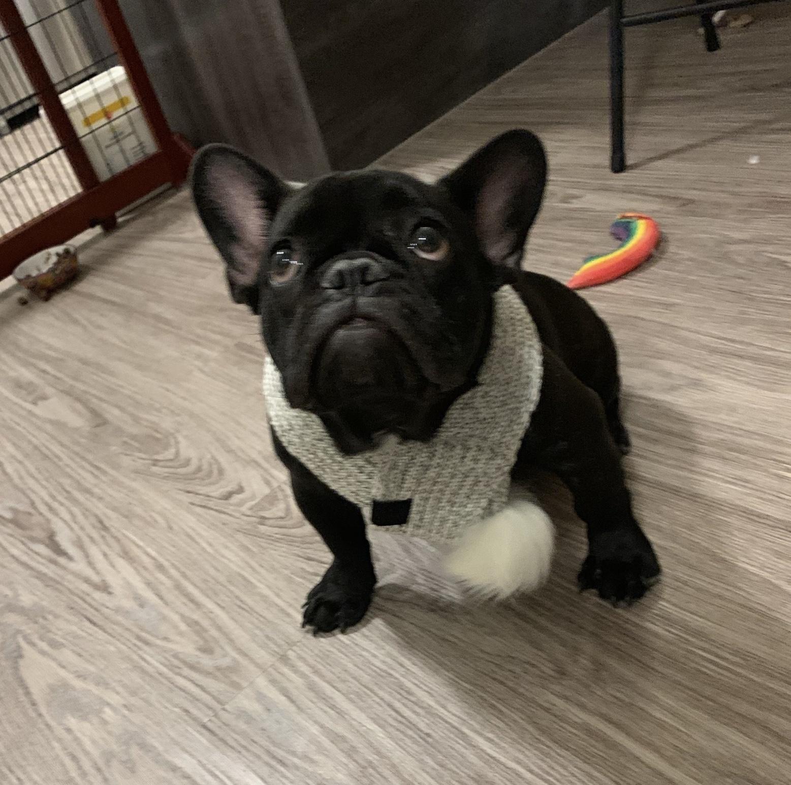 Tino