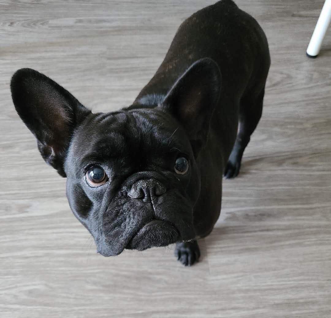 Tino