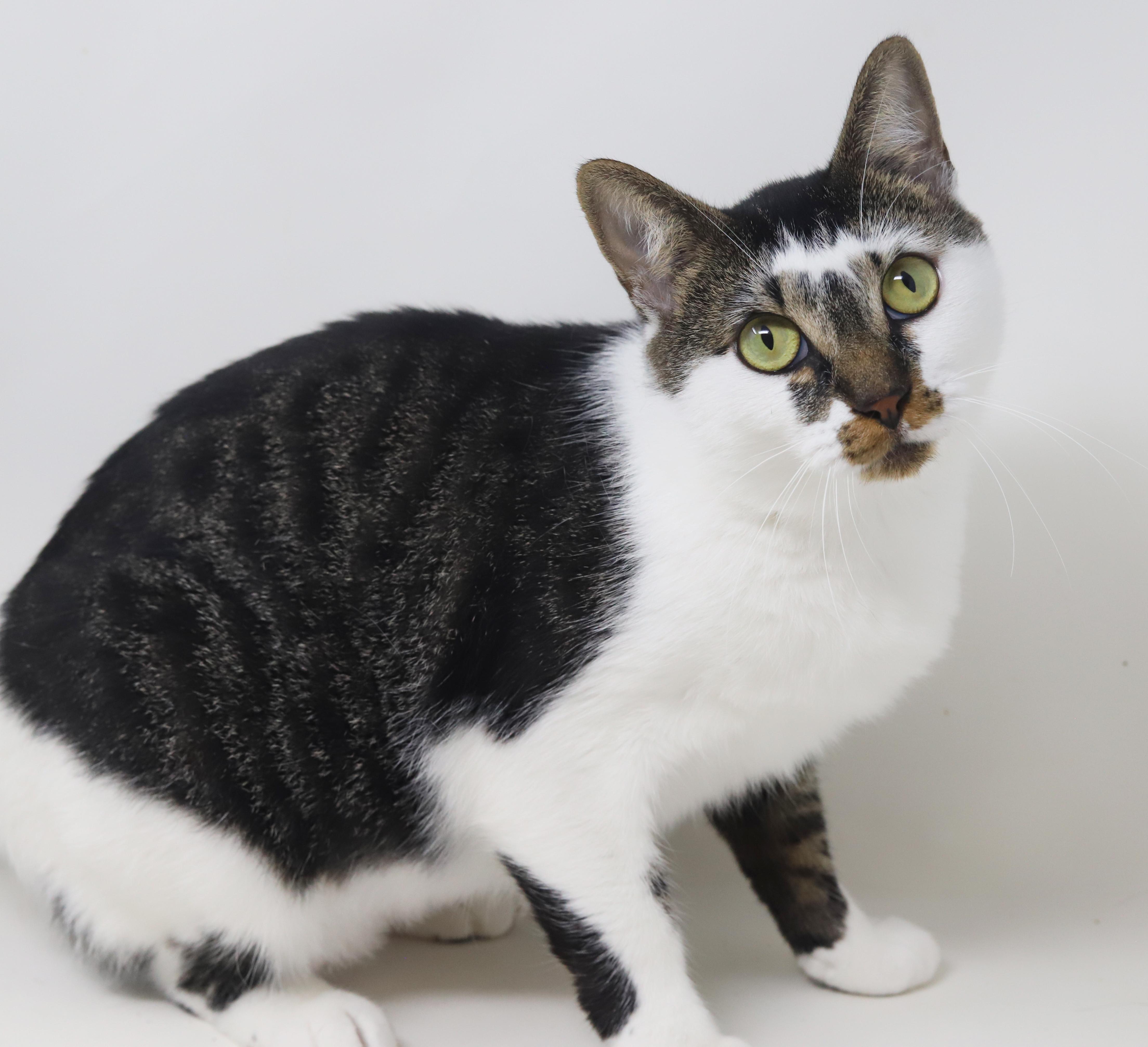 Ella  The Best thumbnail 4