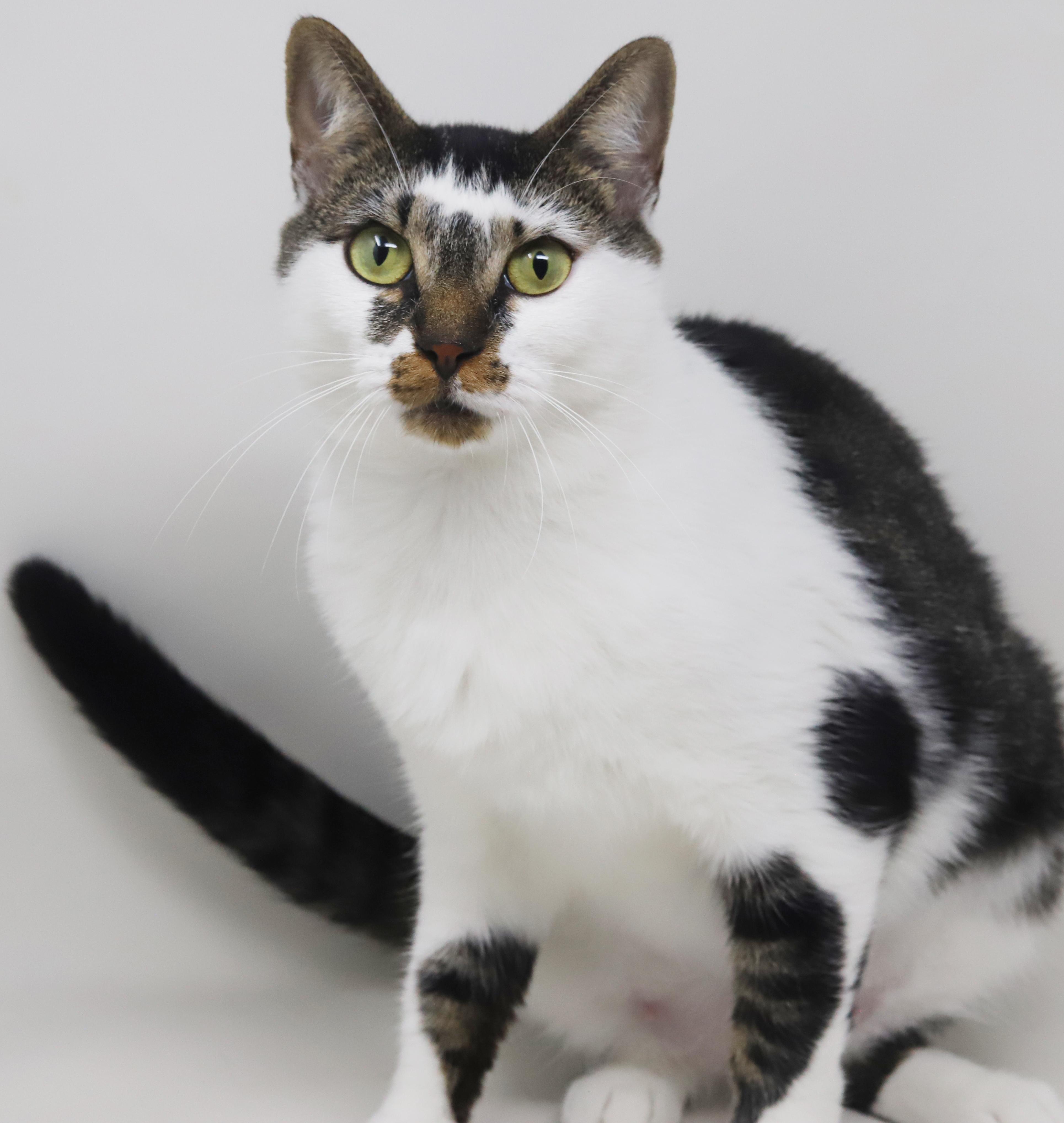 Ella  The Best thumbnail 3