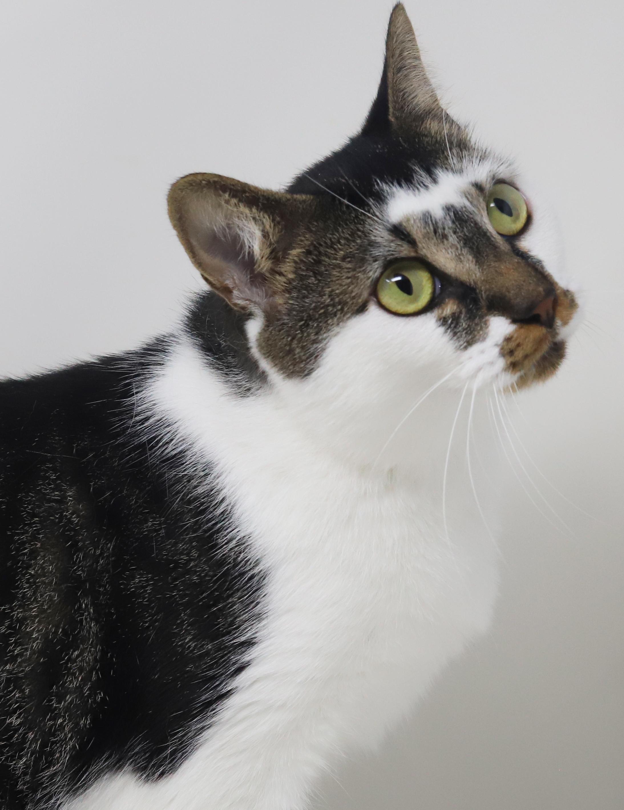 Ella  The Best thumbnail 5