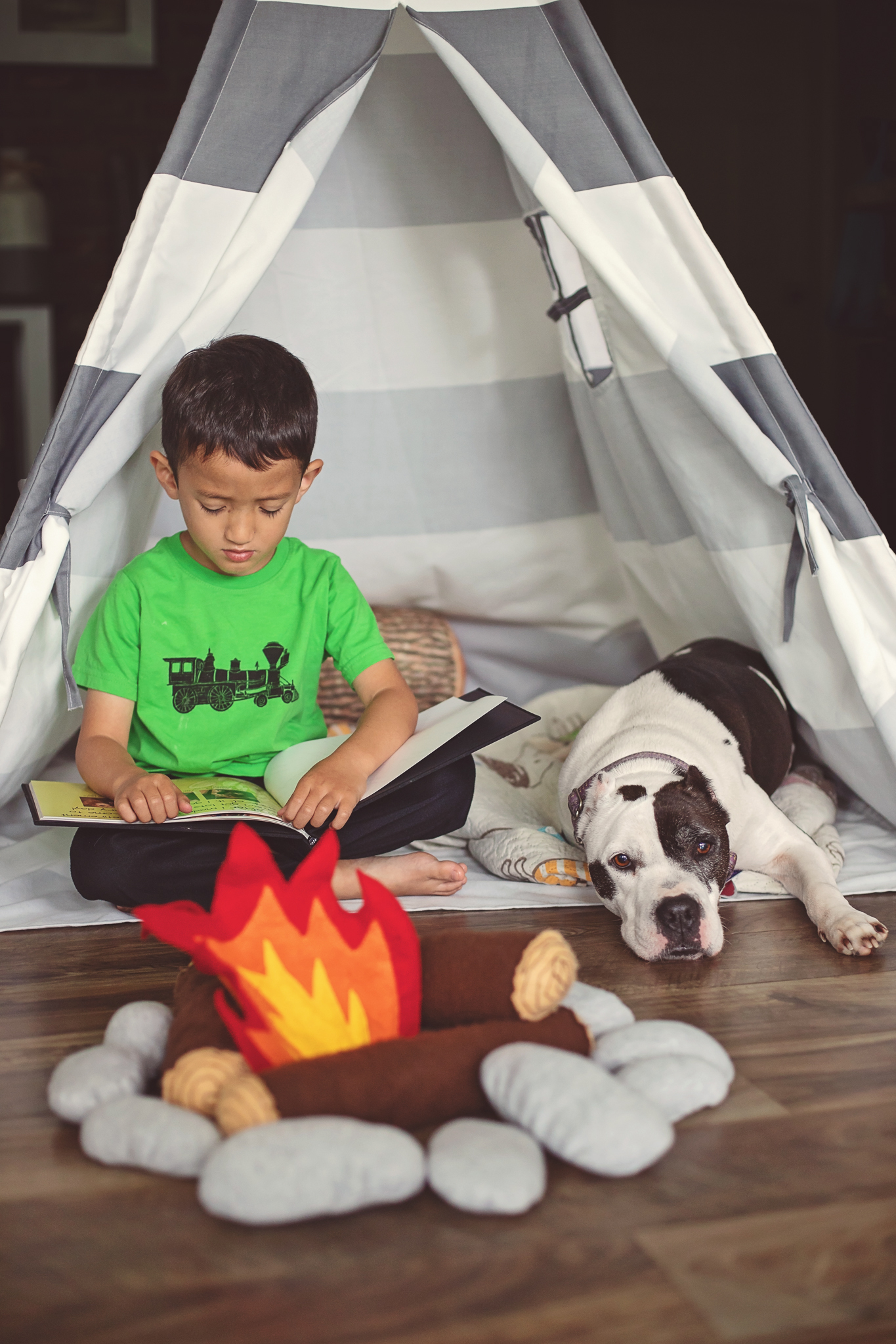 Cookie, a Adoptable Pit Bull Terrier in Landenberg, PA image 5/5