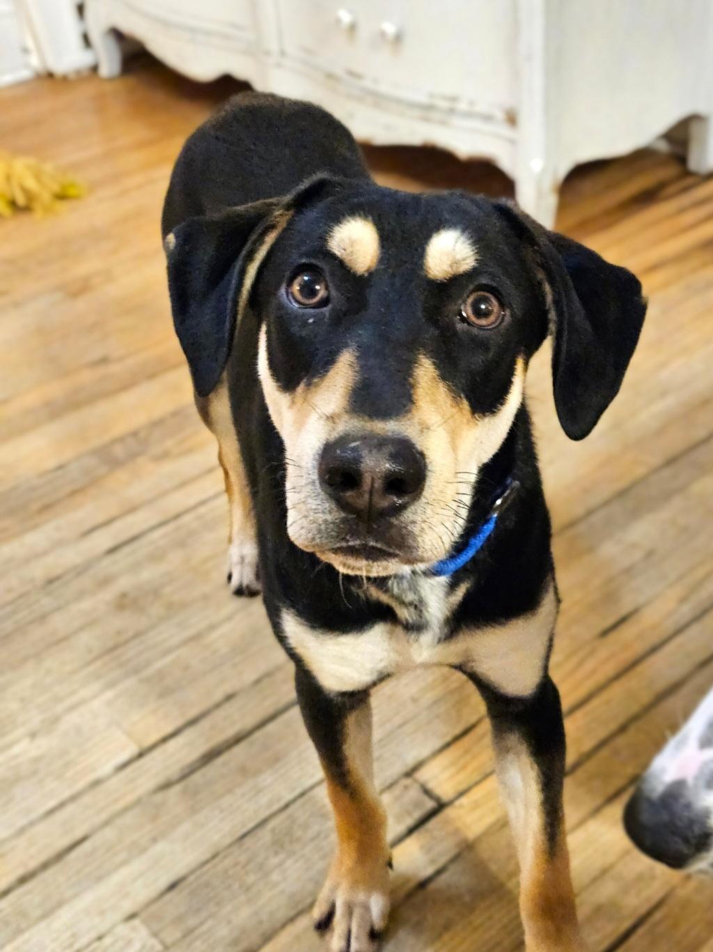 Stuart(REDUCED FEE!)