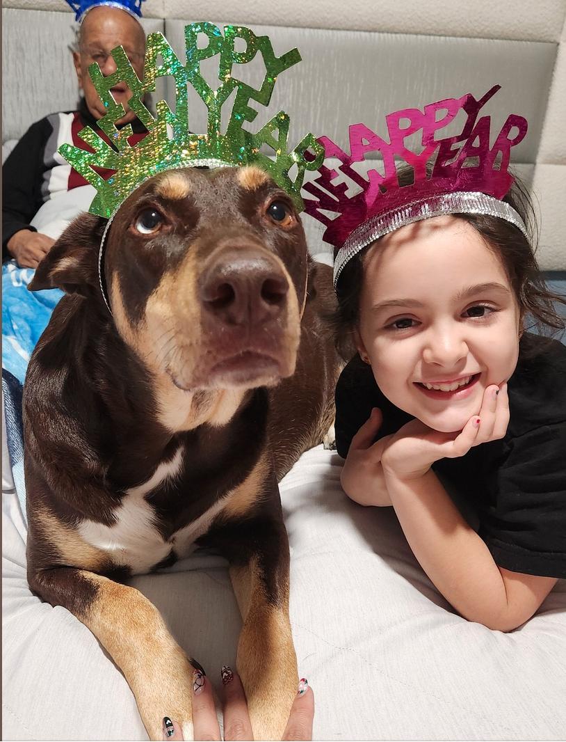 Charlotte, Adoptable, Adult Female Doberman Pinscher.