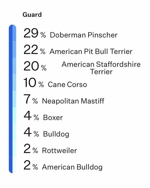 Mia, a Adoptable mixed breed in Crescent city, CA image 2/5