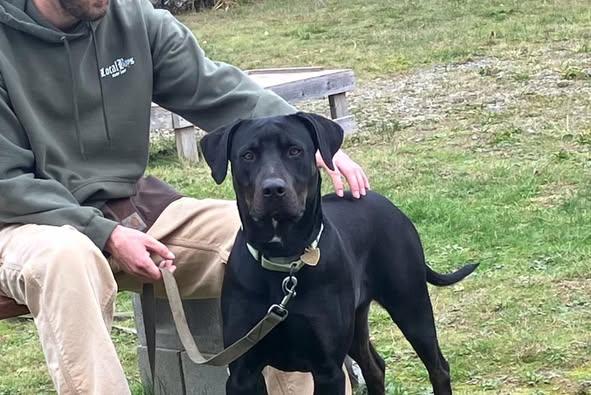 Mia, a Adoptable mixed breed in Crescent city, CA image 5/5