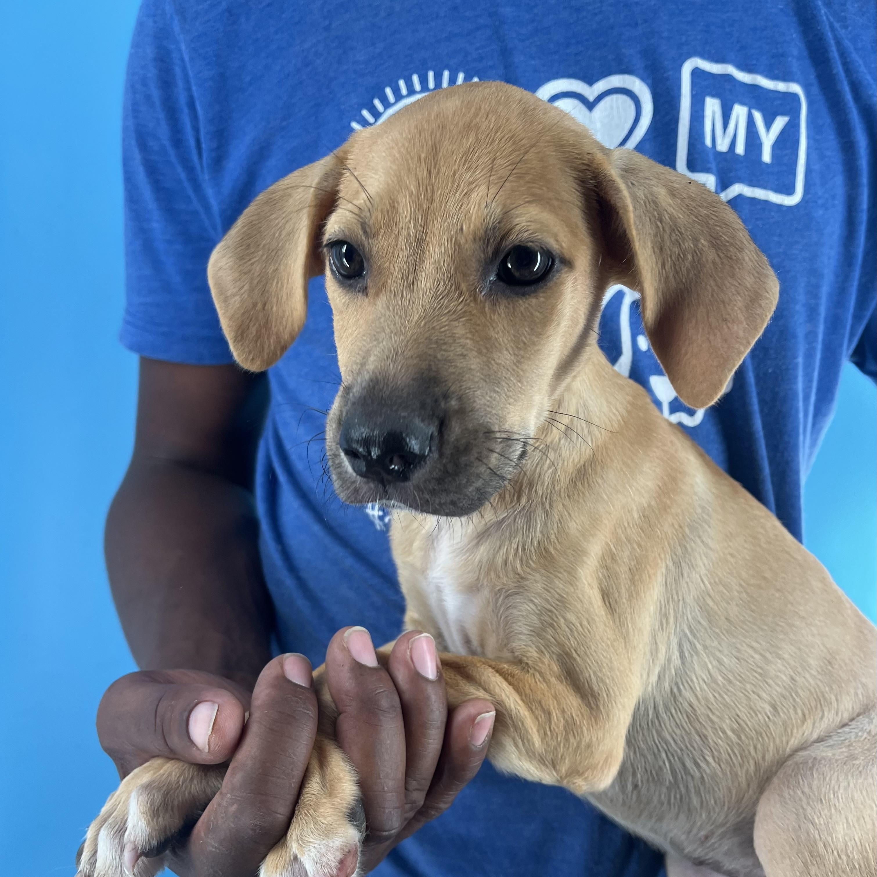 Autumn - Local Sept 26-28