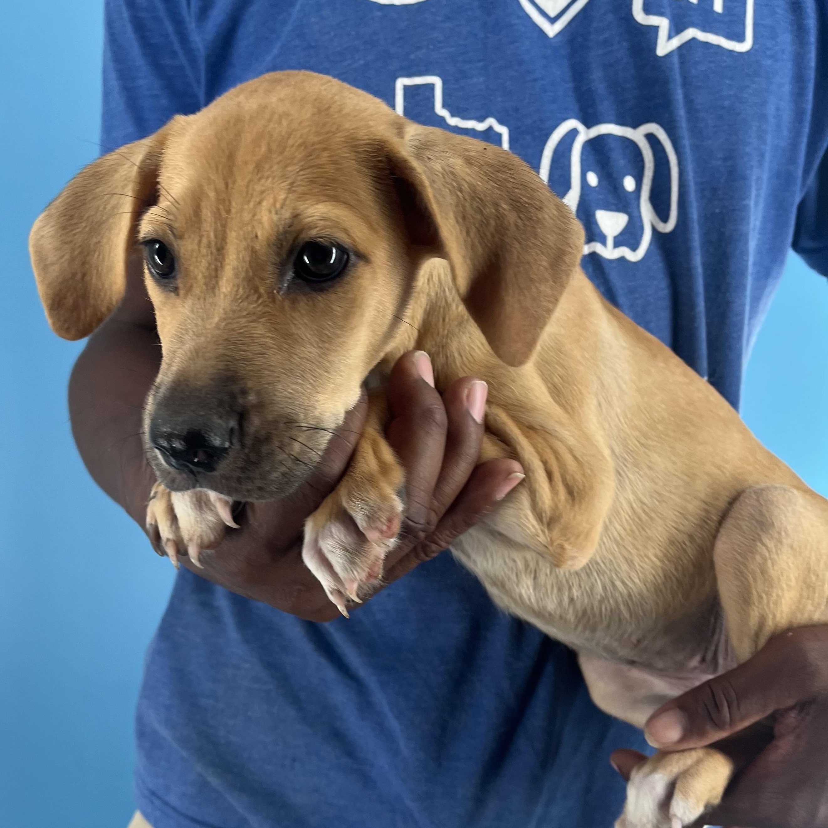 Autumn - Local Sept 26-28