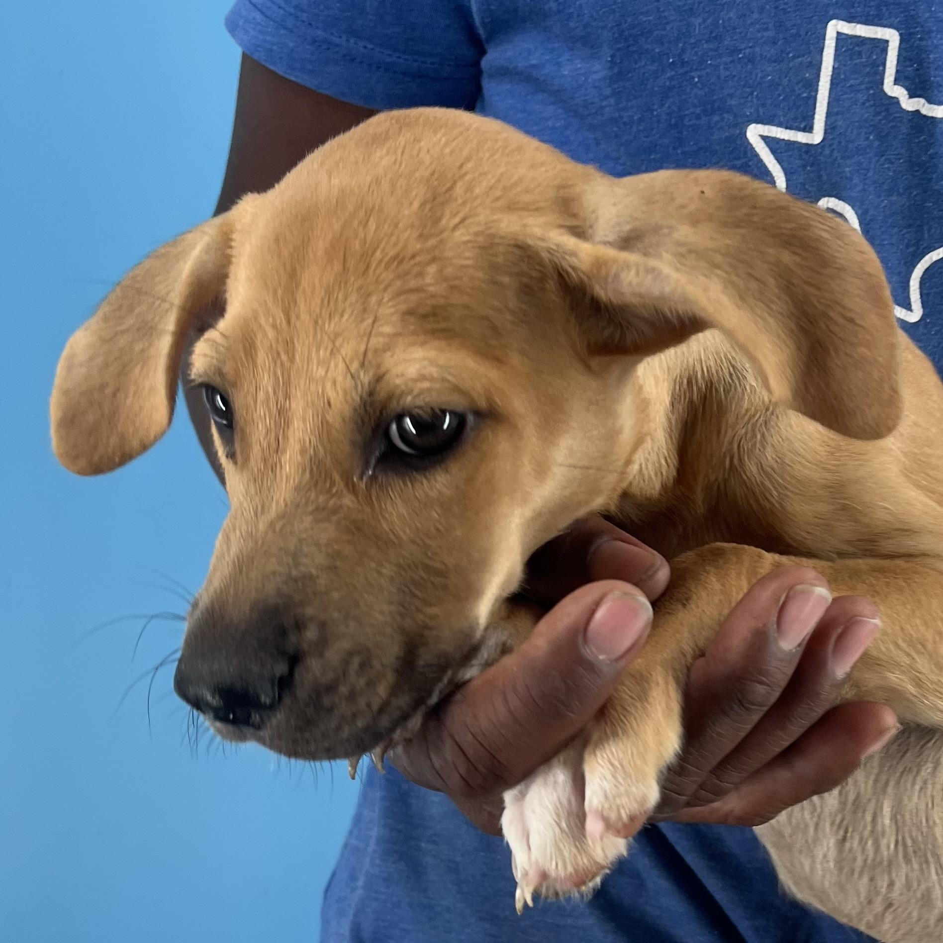 Autumn - Local Sept 26-28