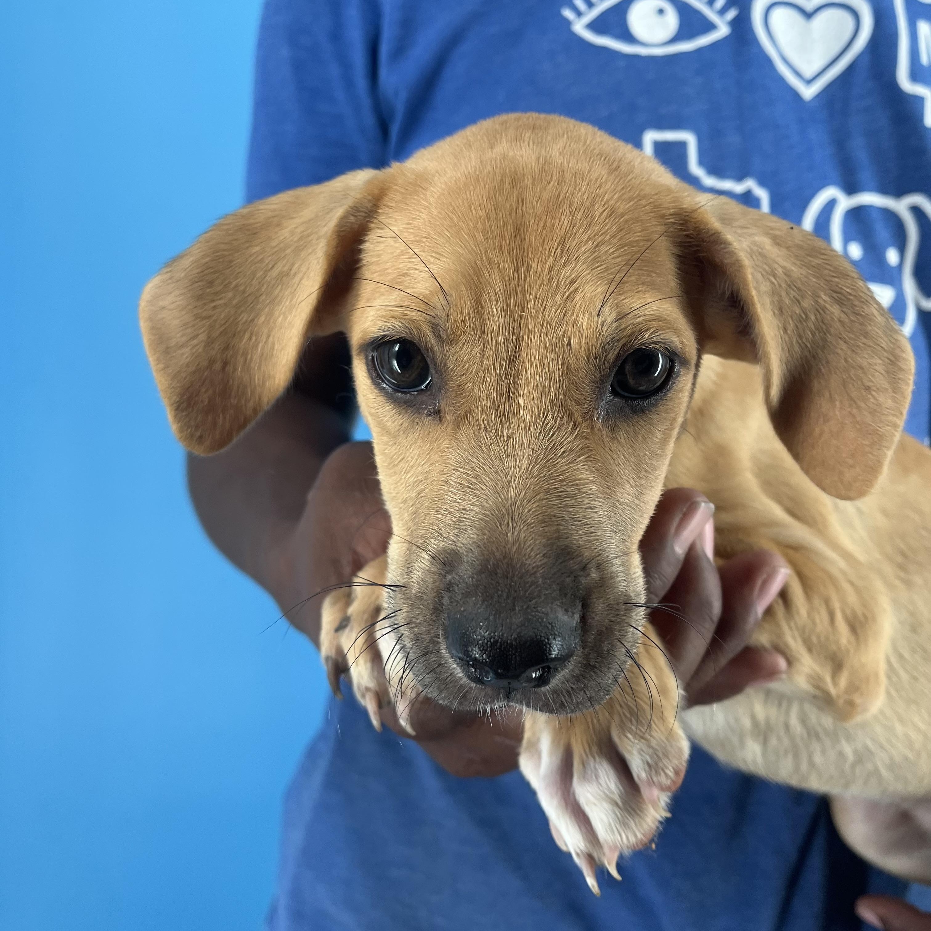 Autumn - Local Sept 26-28