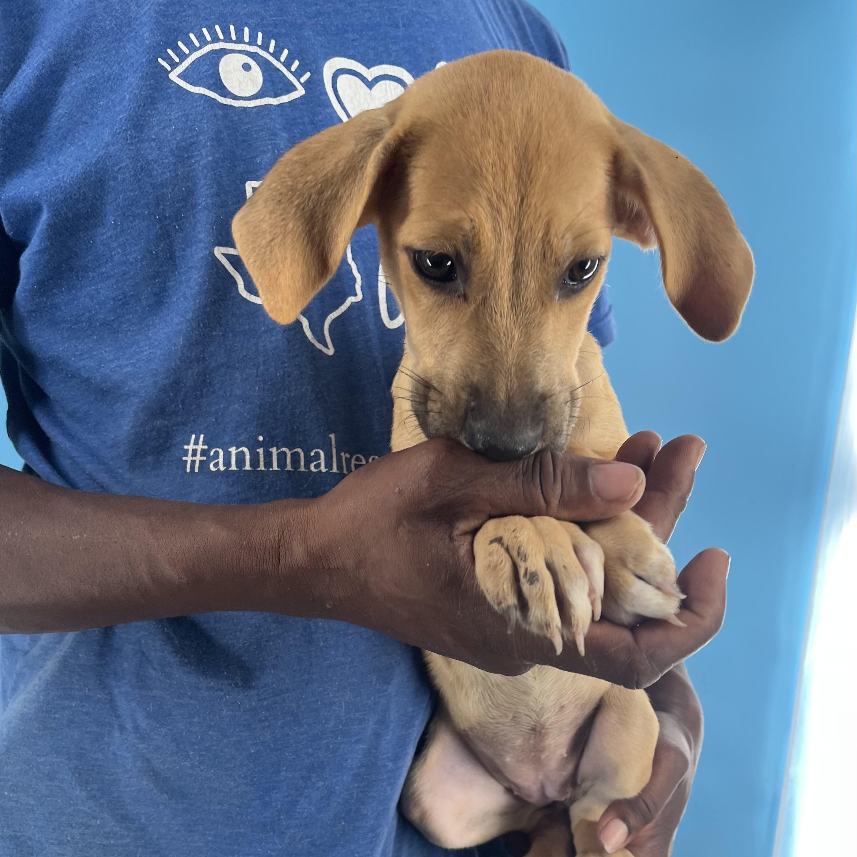 Autumn - Local Sept 26-28