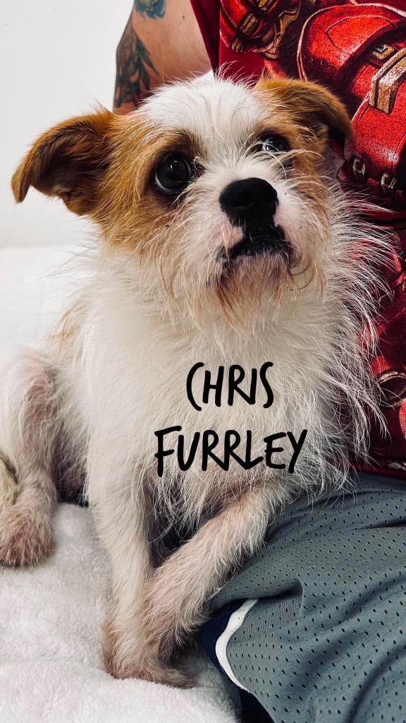 Chris Furrley photo