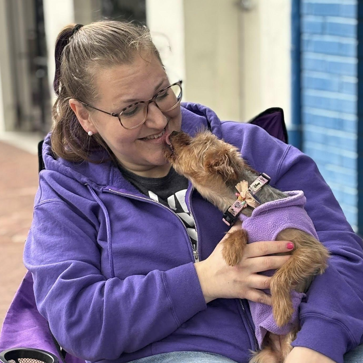 Enlarge Apple, an adoptable Yorkshire Terrier in Rockville, MD image 3/6