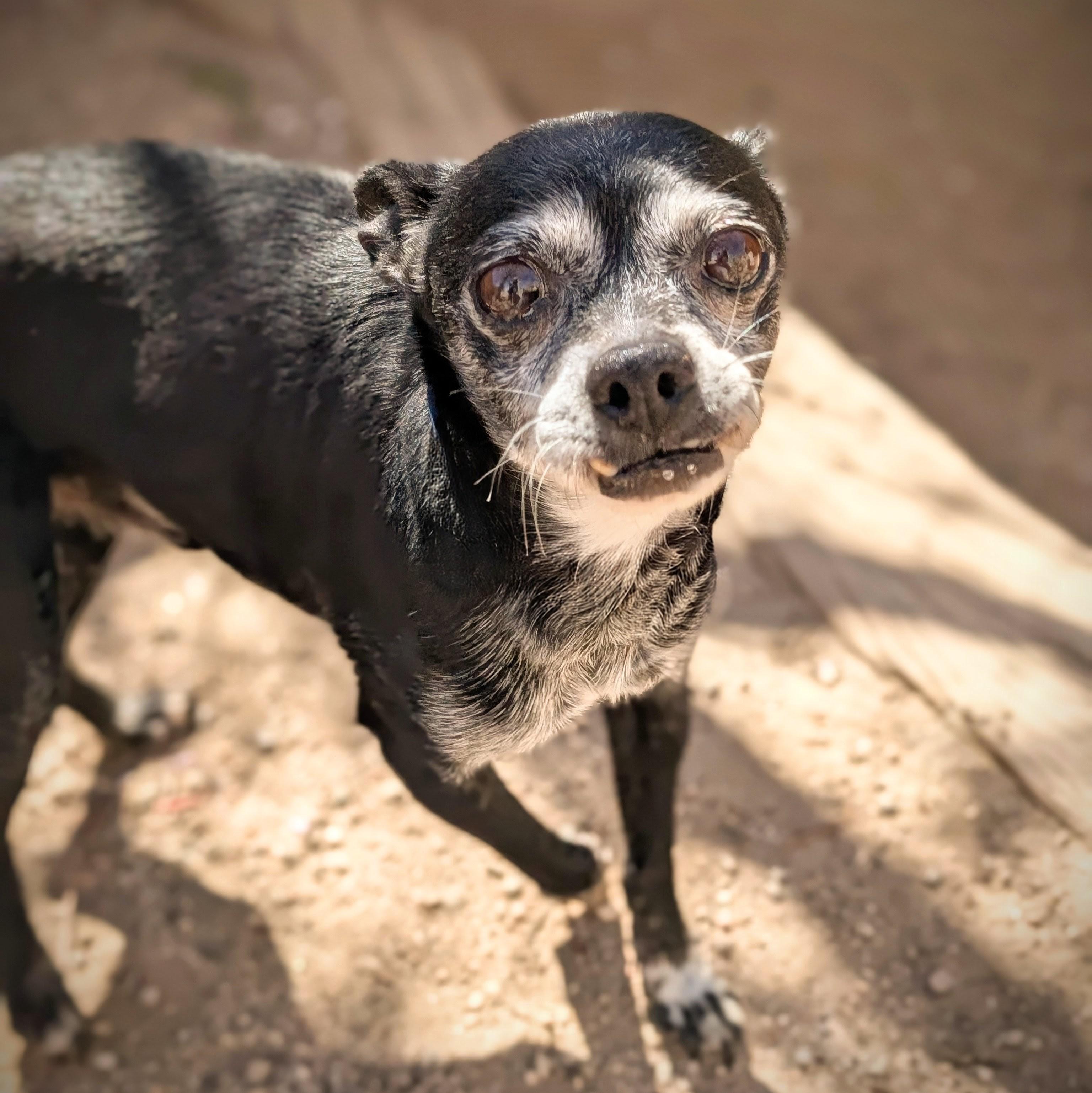 Batman — thumbnail 2