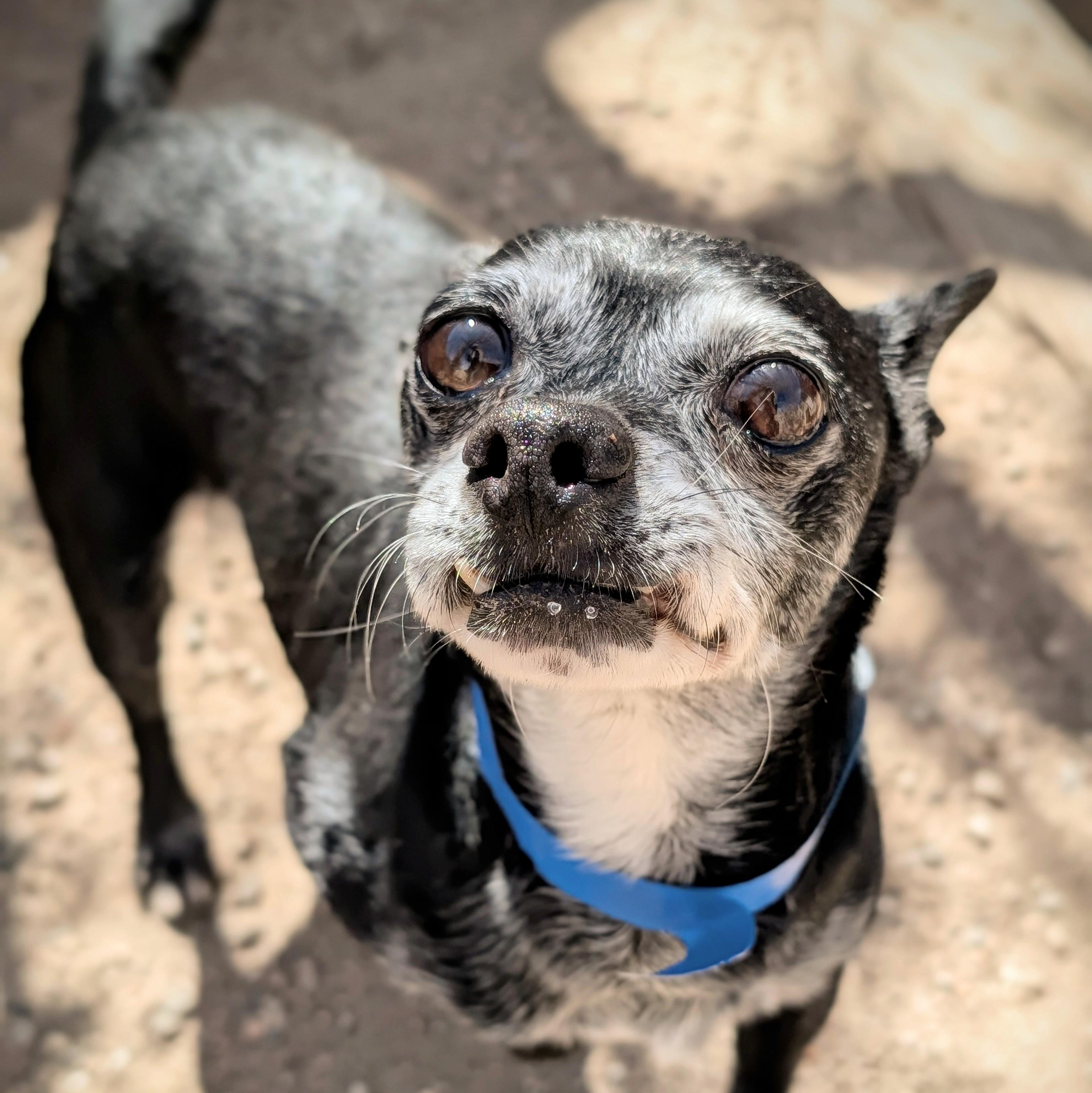 Batman — thumbnail 3